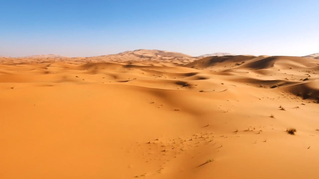 Invest in Morocco: The kingdom, open for business.